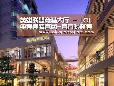 案例展示一
