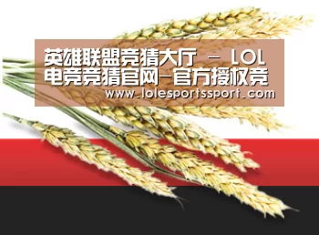 英雄联盟竞猜大厅 - LOL电竞竞猜官网-官方授权竞猜平台