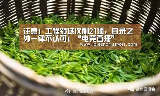 电竞直播