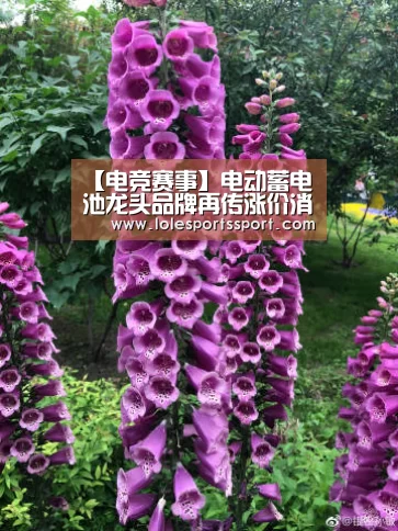 英雄联盟竞猜大厅 - LOL全球总决赛下注官方网站